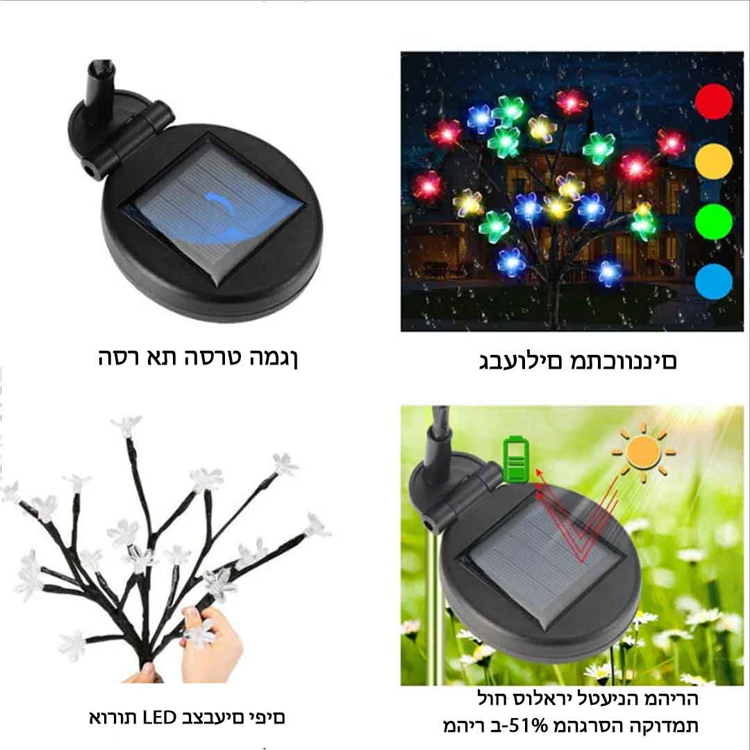 פלורהגלו™ | מנורות גן סולאריות פרחוניות (2 חבילות)