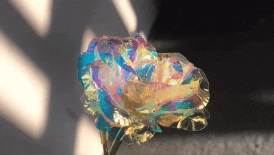 ורד זוהר™ | מתנה רומנטית מושלמת