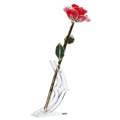 ורד מצופה זהב 24 קראט™ | מתנה רומנטית מושלמת