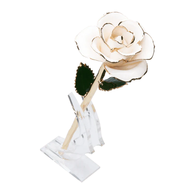 ורד מצופה זהב 24 קראט™ | מתנה רומנטית מושלמת