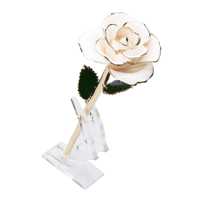 ורד מצופה זהב 24 קראט™ | מתנה רומנטית מושלמת