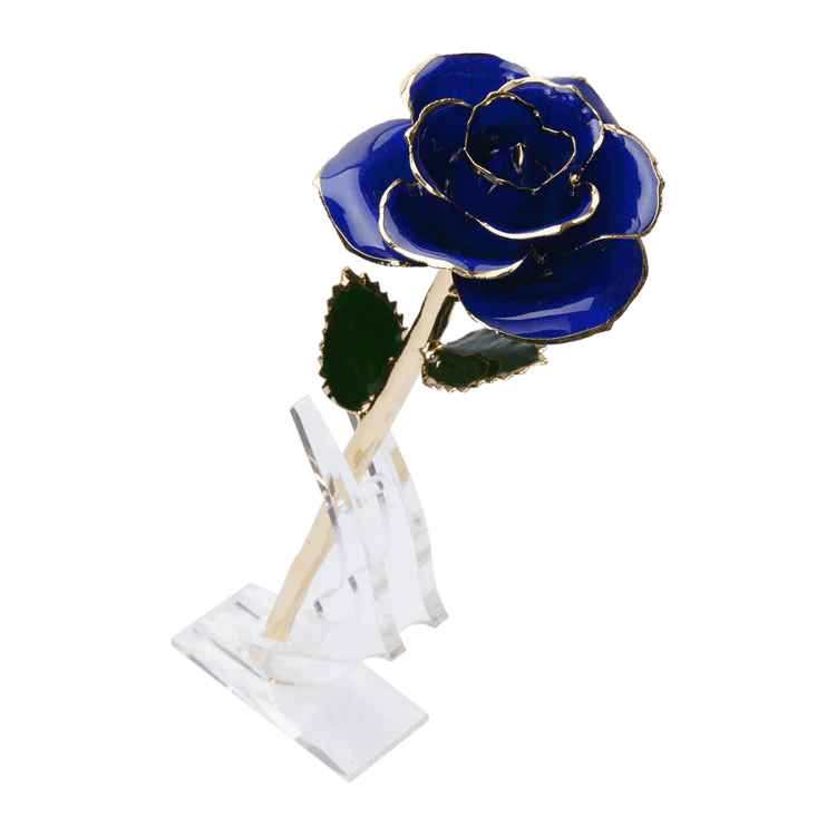 ורד מצופה זהב 24 קראט™ | מתנה רומנטית מושלמת