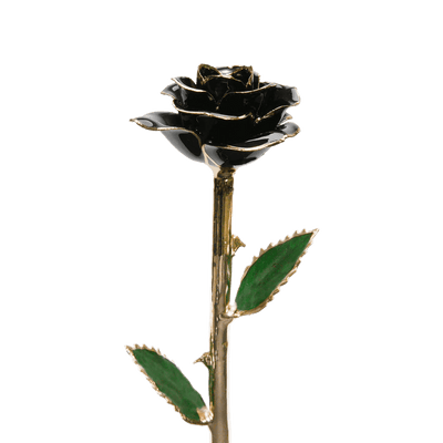 ורד מצופה זהב 24 קראט™ | מתנה רומנטית מושלמת