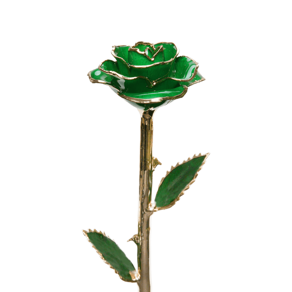 ורד מצופה זהב 24 קראט™ | מתנה רומנטית מושלמת