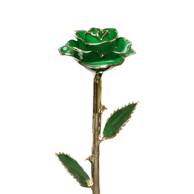 ורד מצופה זהב 24 קראט™ | מתנה רומנטית מושלמת