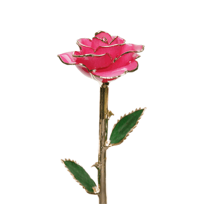 ורד מצופה זהב 24 קראט™ | מתנה רומנטית מושלמת