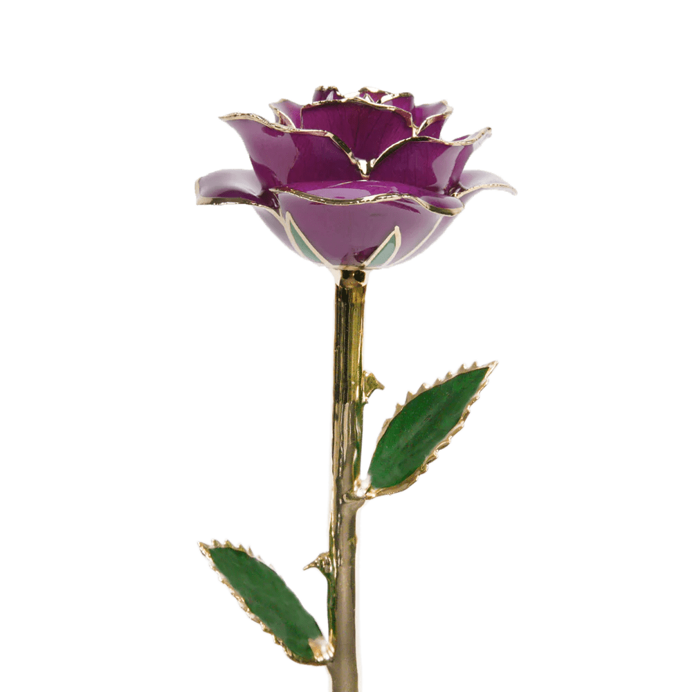 ורד מצופה זהב 24 קראט™ | מתנה רומנטית מושלמת