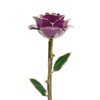 ורד מצופה זהב 24 קראט™ | מתנה רומנטית מושלמת