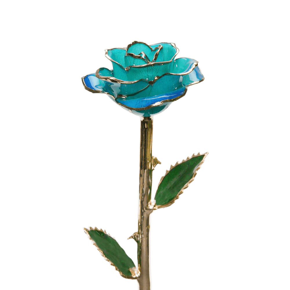 ורד מצופה זהב 24 קראט™ | מתנה רומנטית מושלמת