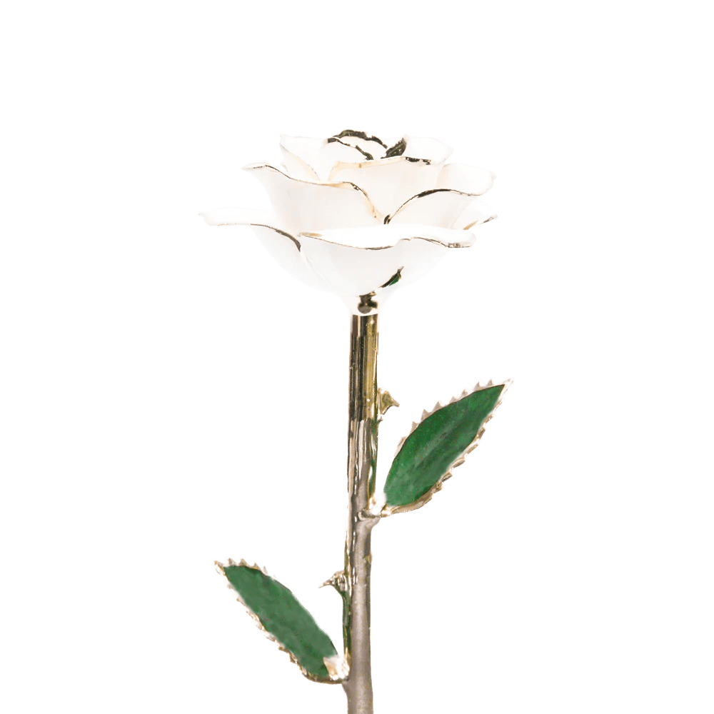 ורד מצופה זהב 24 קראט™ | מתנה רומנטית מושלמת