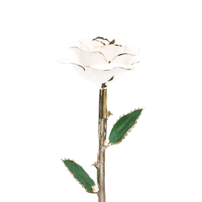 ורד מצופה זהב 24 קראט™ | מתנה רומנטית מושלמת