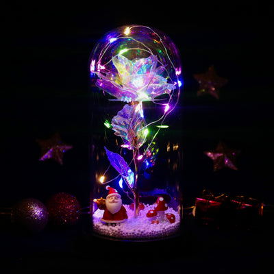 ורד סנטה קלוס™ | מתנה רומנטית ומוקפדת