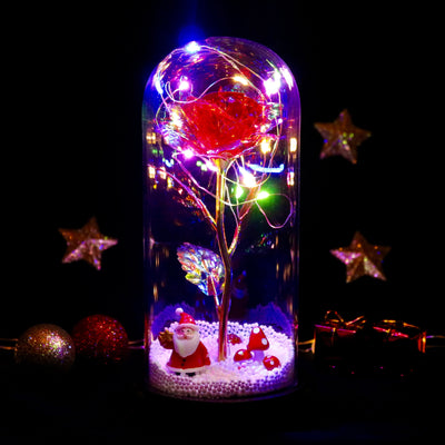 ורד סנטה קלוס™ | מתנה רומנטית ומוקפדת